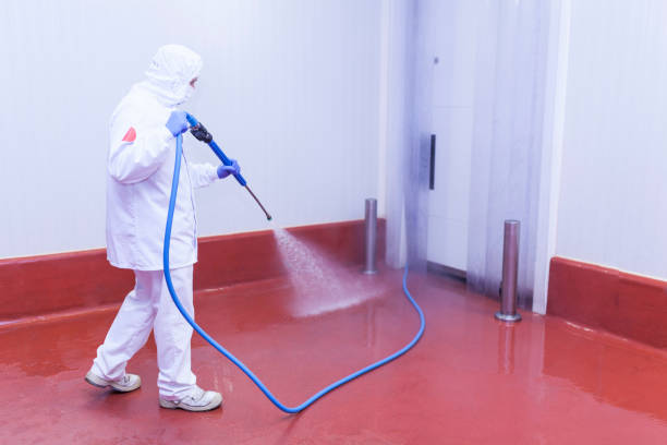 Best Solar Panel Cleaning  in Melissa, TX